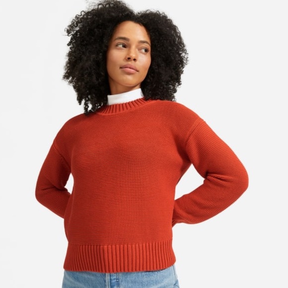 Everlane The Link-Stitch Crewneck Sweater in Rust - Picture 1 of 10